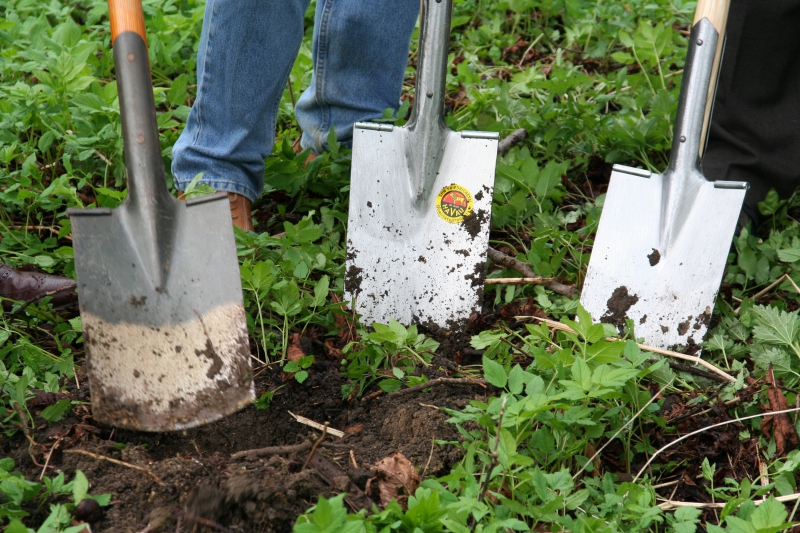 pepiniere-ROQUEBRUNE SUR ARGENS-min_work-lawn-flower-tool-green-backyard-1103633-pxhere.com